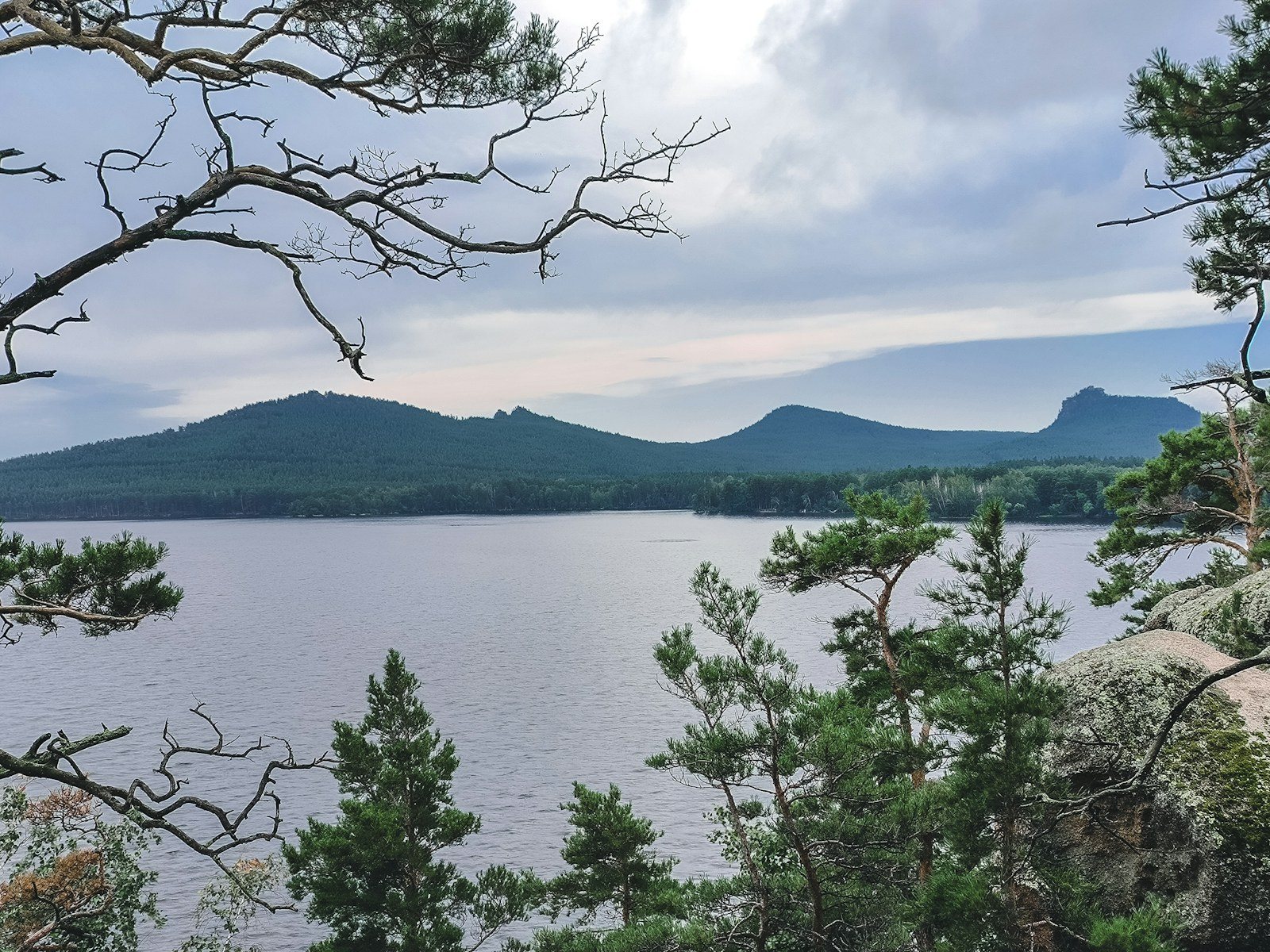 A lake and forested hills framed by pine branches
